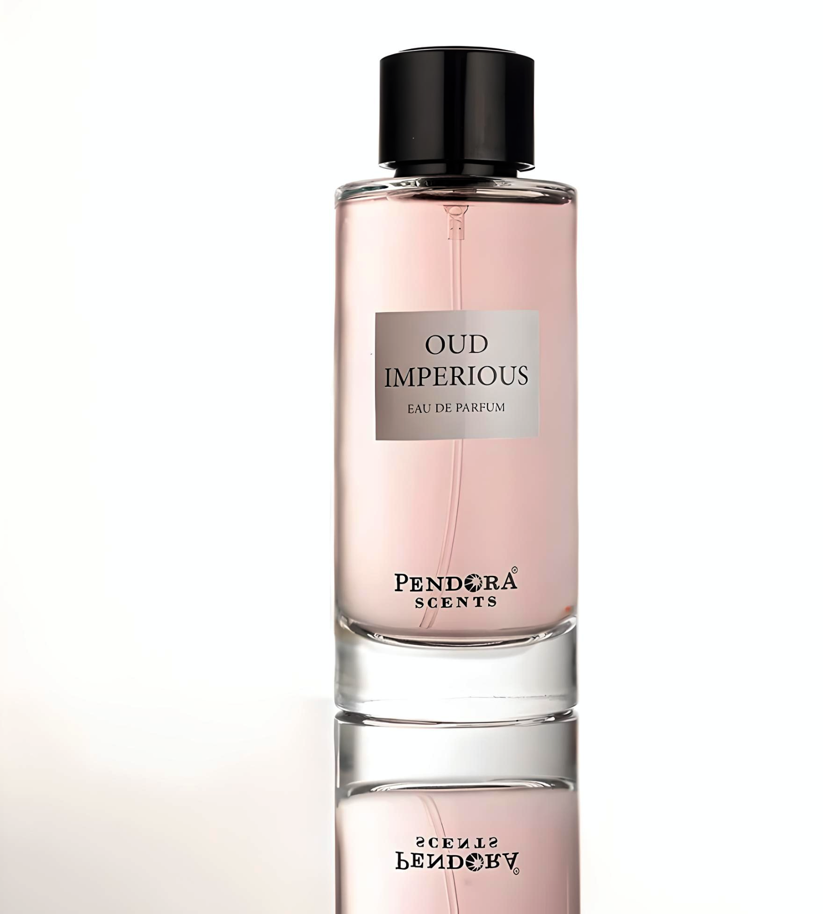 Pendora Scents Oud Imperious EDP 100ml