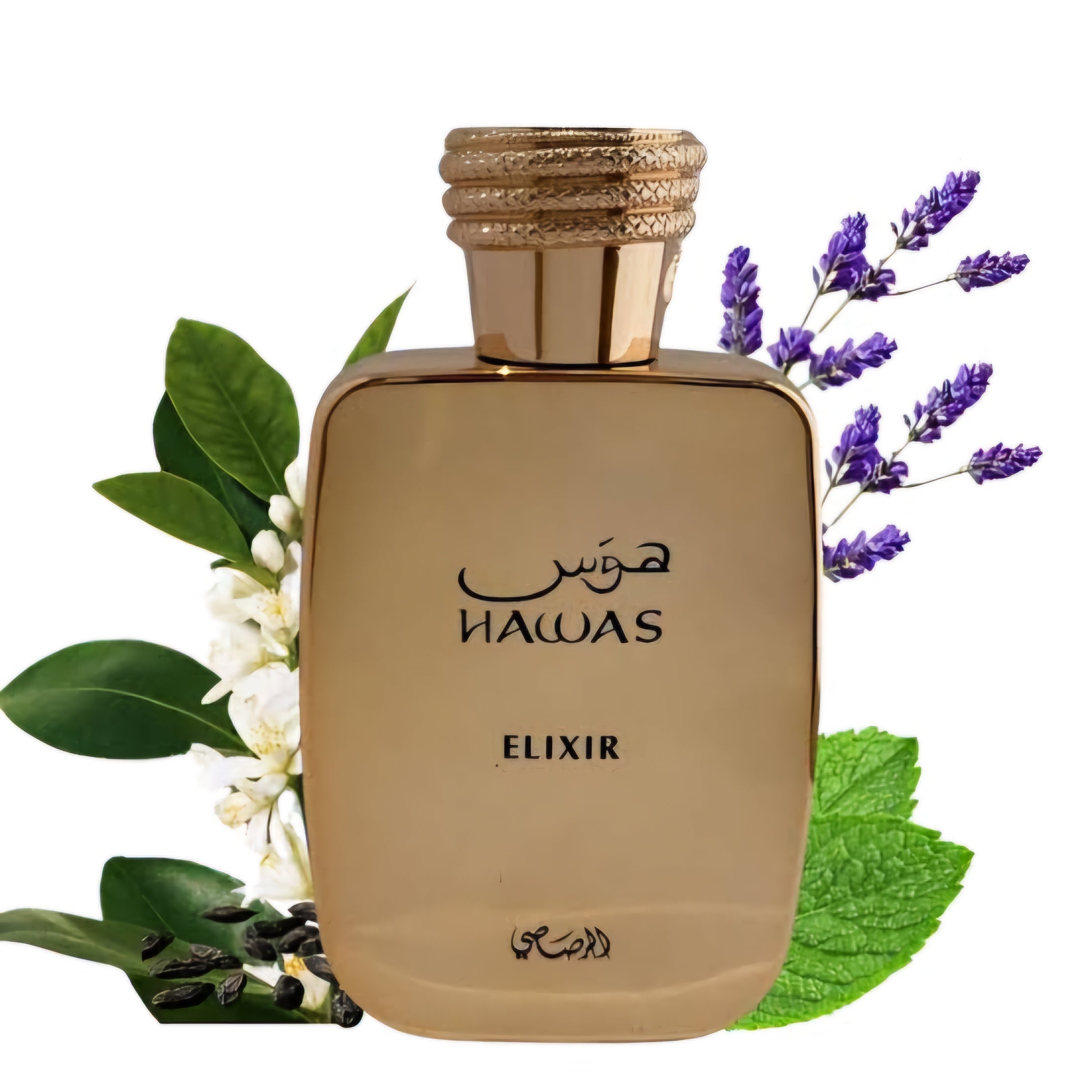 Rasasi Hawas Elixir EDP 100ml
