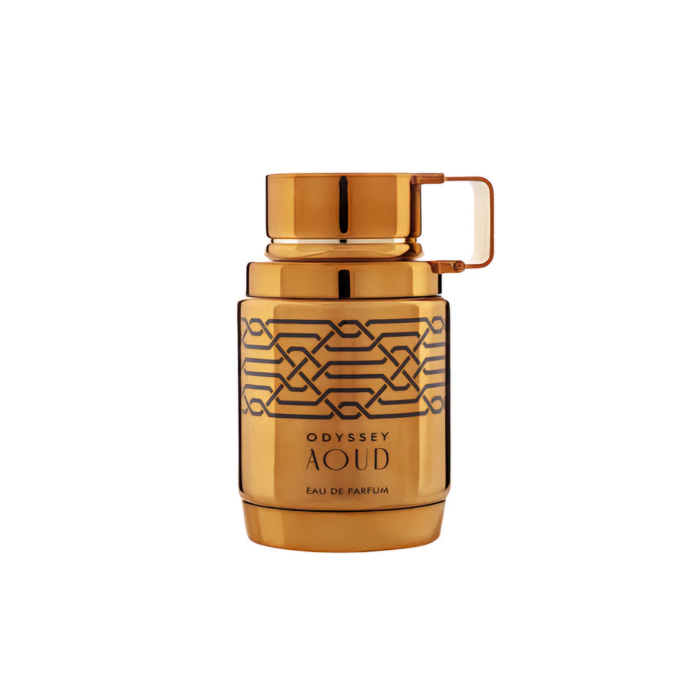 Armaf Odyssey Aoud EDP 100ml