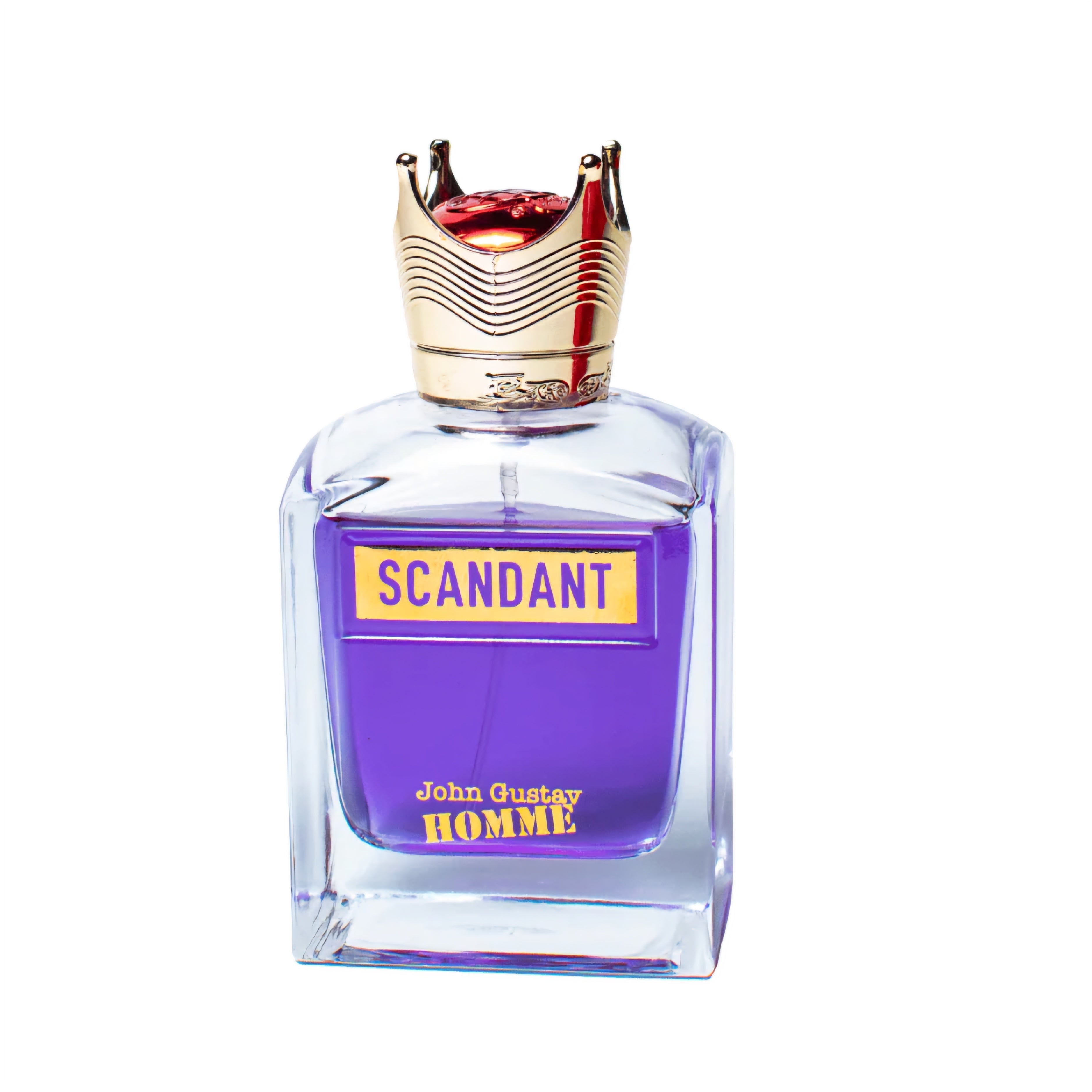 Fragrance World Scandant John Gustav Homme EDP 100ml