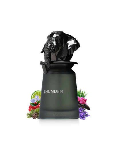 French Avenue Thunder EDP 100ml