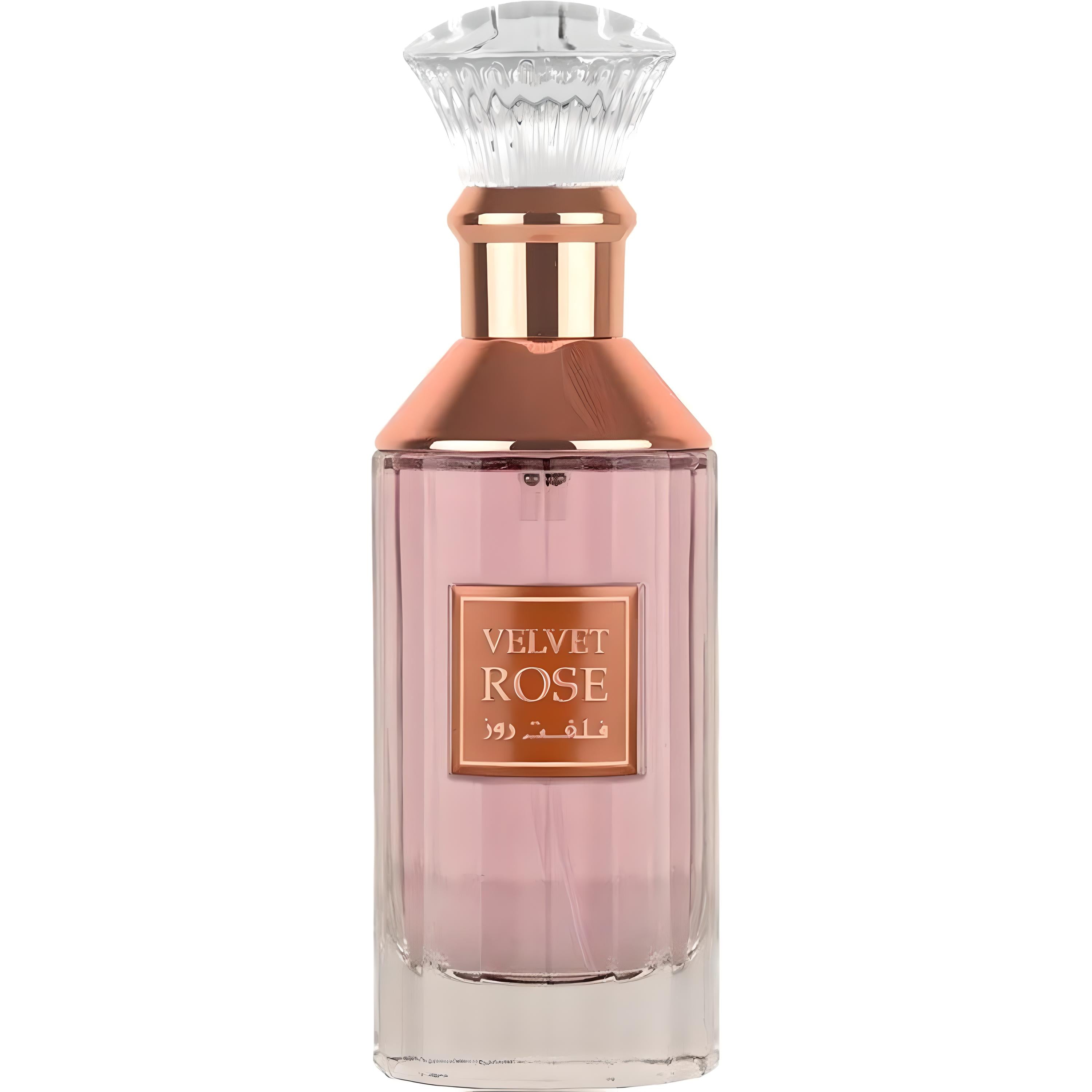 Lattafa Velvet Rose EDP 100ml